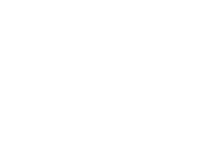 Grupo Meirelles